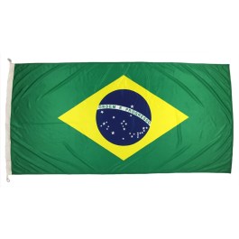 brazilian war flag