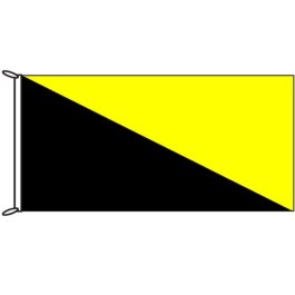 black flag yellow x