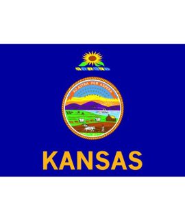 Kansas Flag