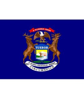Michigan Flag