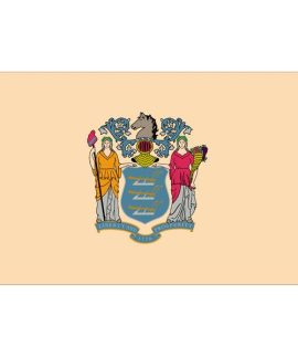 New Jersey Flag