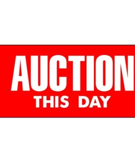 Auction This Day Flag HF