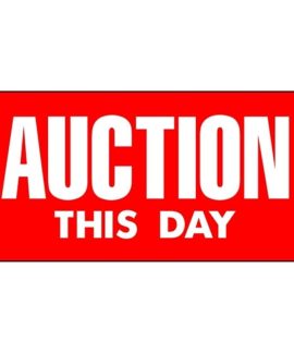 Auction This Day VS