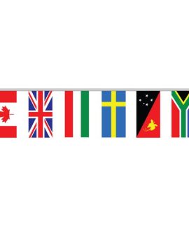 International bunting flag