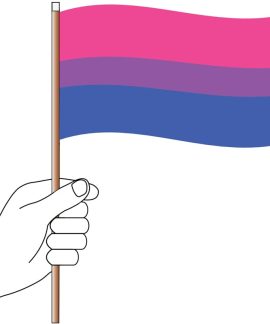 Bisexual Handwaver Flag