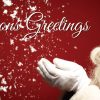 Seasons Greetings Santa Flag Red  (92)