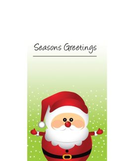 Christmas Flag Light Green with Santa (67)