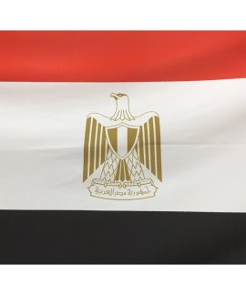 Egypt Flag Close Up Image of Crest