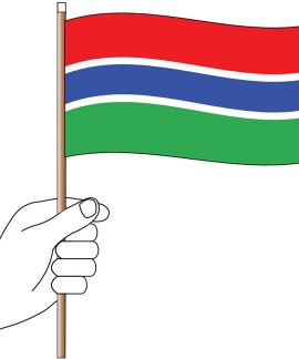 Gambia Hand Flag Handwaver