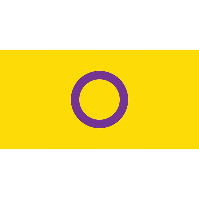 Intersex Flag 1800mm x 900mm (Knitted)
