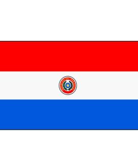 Paraguay flag