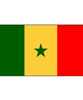 Senegal flag
