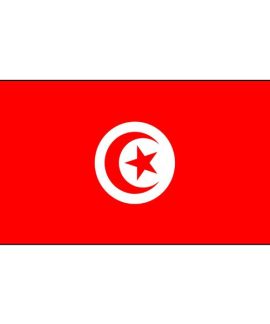 Tunisia flag