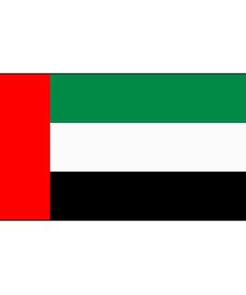 United Arab Emirates flag