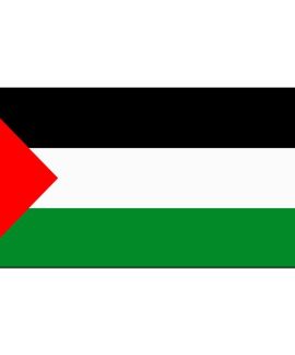 Palestinian Flag