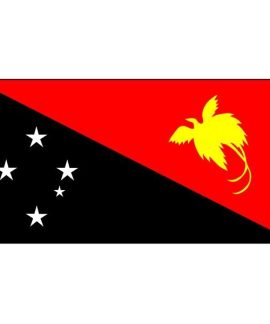 Papua New Guinea flag