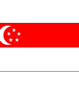Singapore flag