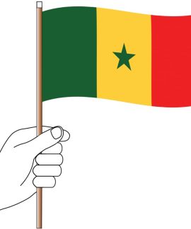 Senegal Handwaver Flag 300mm x 150mm (Knitted)