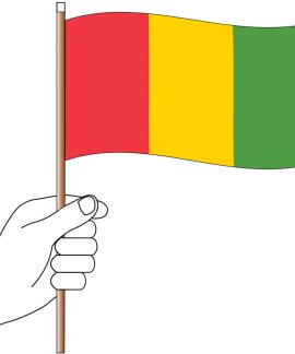 Guinea Handwaver Flag 300mm x 150mm (Knitted)