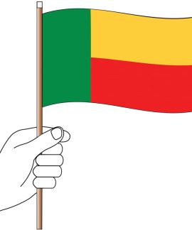 Benin Handwaver Flag 300mm x 150mm (Knitted)