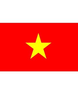 Vietnam flag