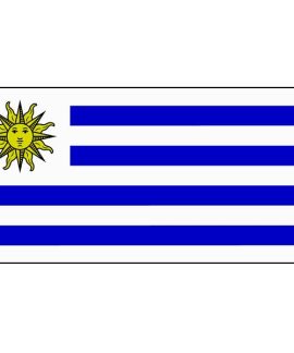 Uruguay flag