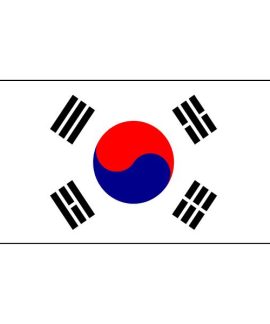 South Korea flag