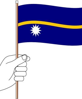 Nauru Hand Flag Handwaver