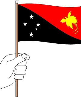 Papua New Guinea Hand Flag Handwaver