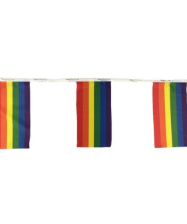 Rainbow Bunting Flags
