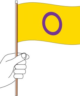 Intersex Handwaver Flag 300mm x 150mm (Knitted)