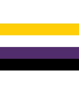 Non Binary Flag