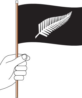 Silver Fern Handwaver
