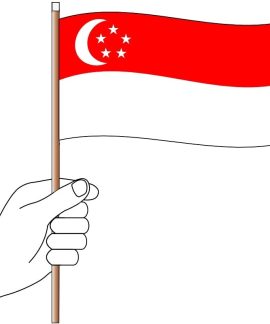 Singapore Hand Flag Handwaver