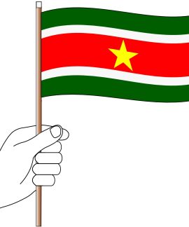 Suriname Handwaver Flag