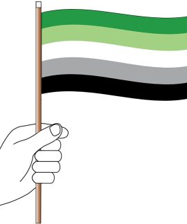 Aromantic Handwaver Flag 300mm x 150mm