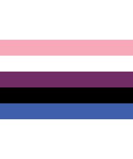 Gender Fluid Flag