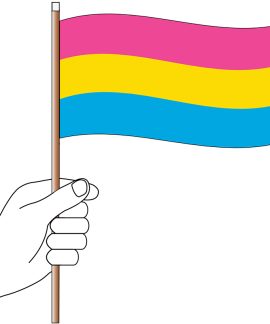 Pansexual Handwaver Flag