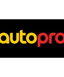 AutoPro Flagpole Flag