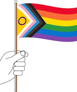 Intersex Inclusive Progress Pride Flag Handwaver