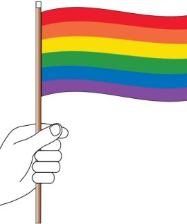 Rainbow Handwaver Flag