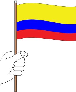 Hand holding Colombian flag illustration