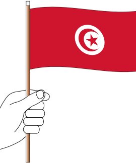 Hand holding the flag of Tunisia