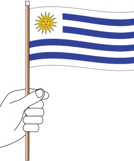 Hand holding the Uruguay national flag