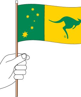 Hand holding green and yellow kangaroo flag