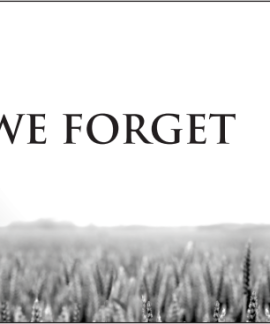 Soldier remembrance with poppy and Lest We Forget text