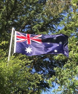 Australian flag waving among green trees