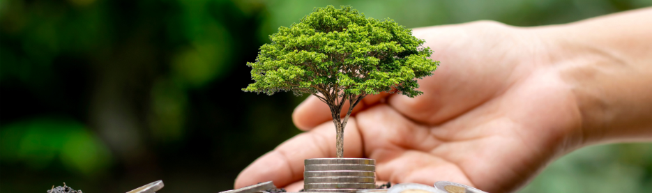 Hand nurturing tree growing from stacked coins