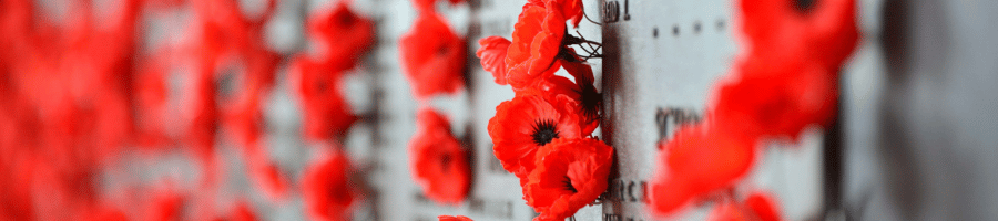 Red poppies on memorial wall honoring fallen soldiers
